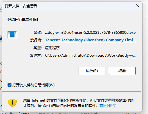 Windows 安装(配图 4)
